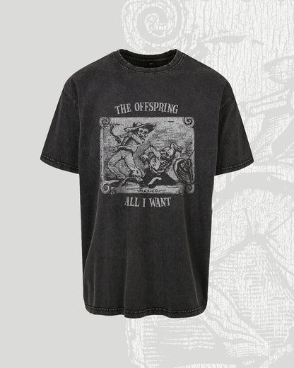 The Offspring All I want tee in black washed colour, vintage style 